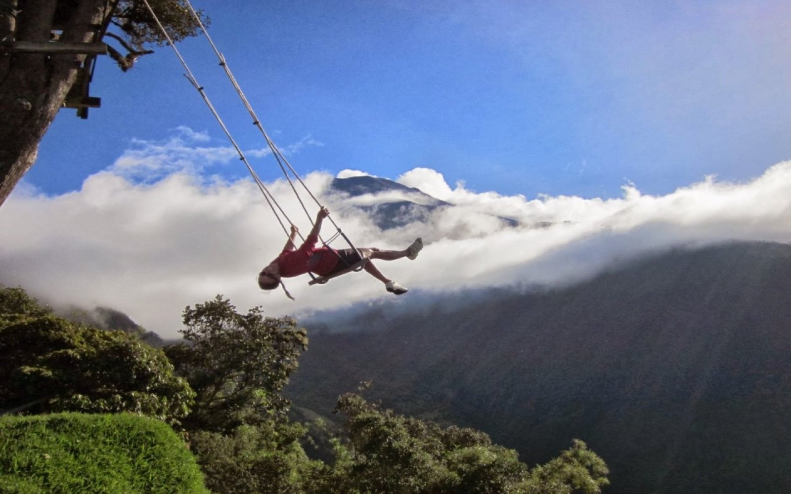 Foto Casa del Árbol y el Columpio del Fin del Mundo