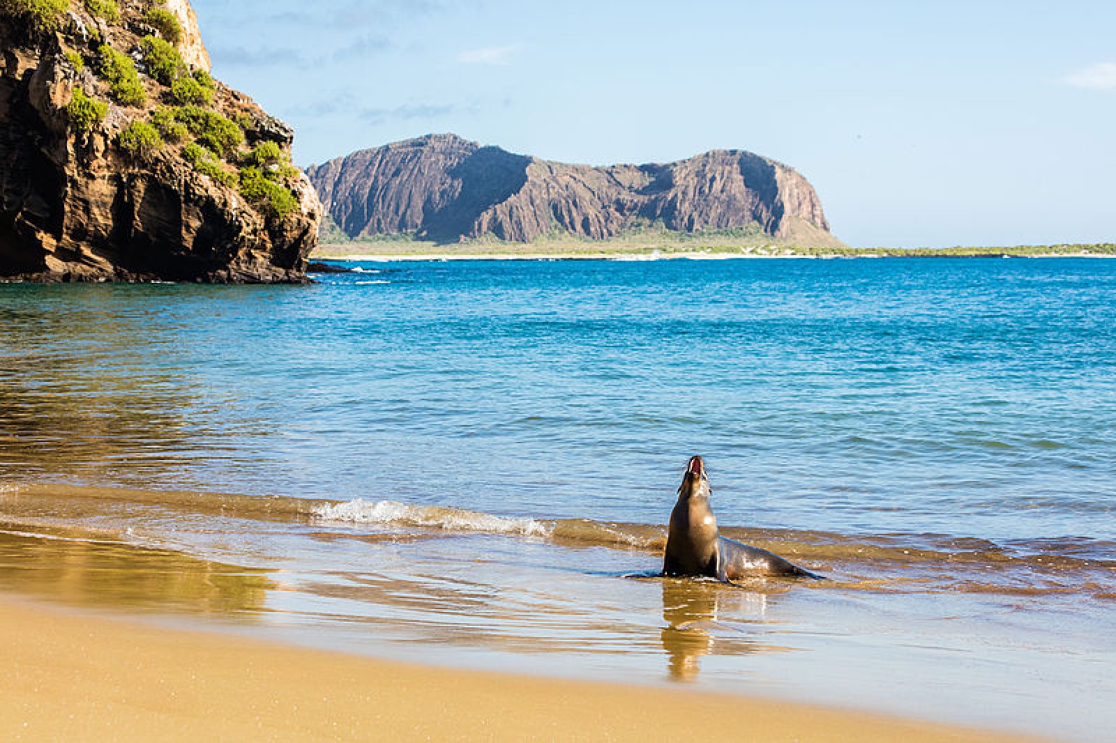  Foto de Parque Nacional Galápagos en Ecuador