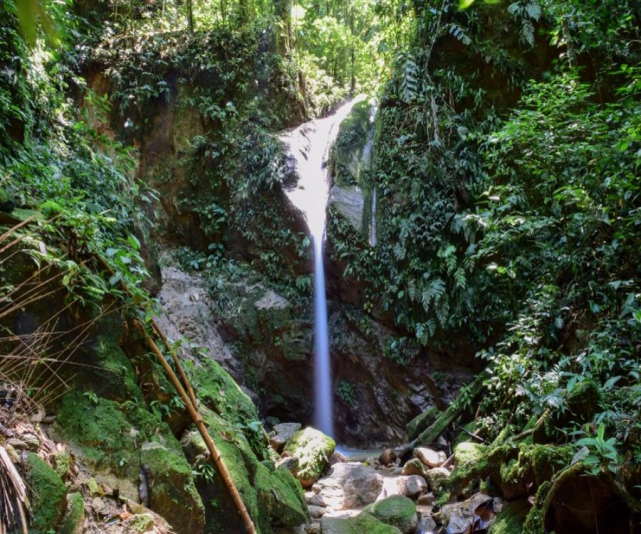 Cascadas Pimpilala en la Provincia del Napo Ecuador