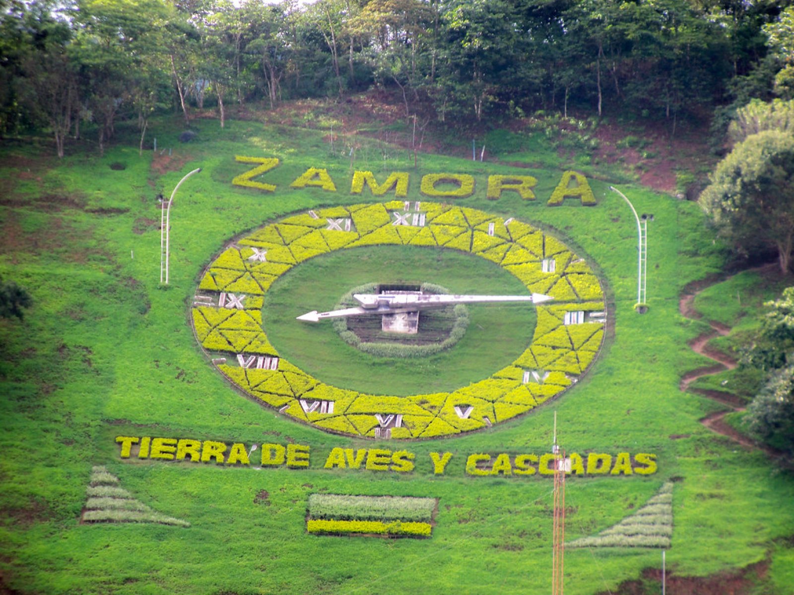 Zamora