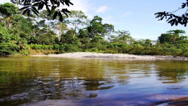 Suchipakari - Jungle - Lodge 