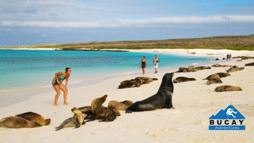 Galápagos Tours