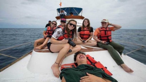 Volunteer in Whale Research Project in Ecuador